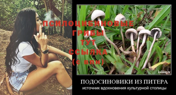 стафф Остров