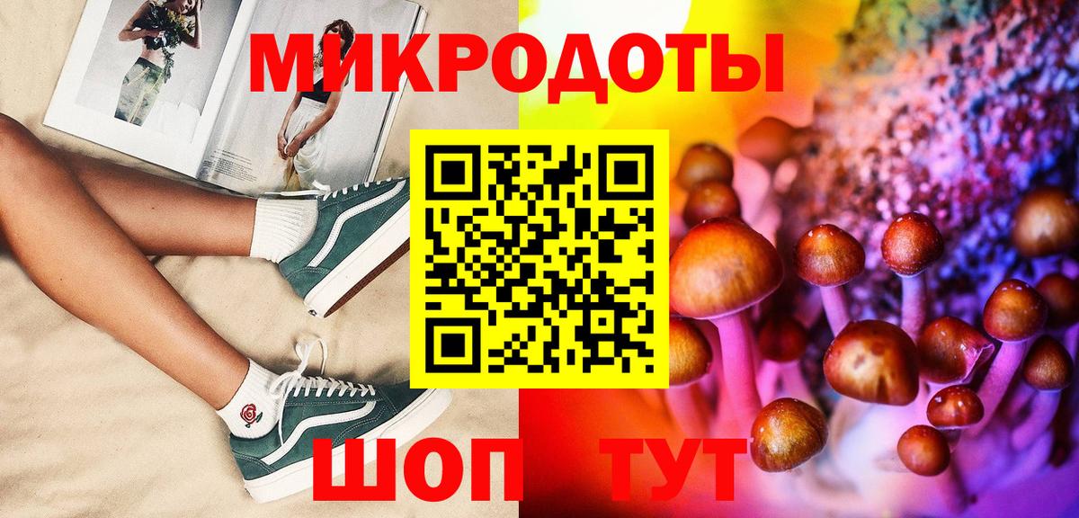 Галлюциногенные грибы Psilocybine cubensis Сорочинск